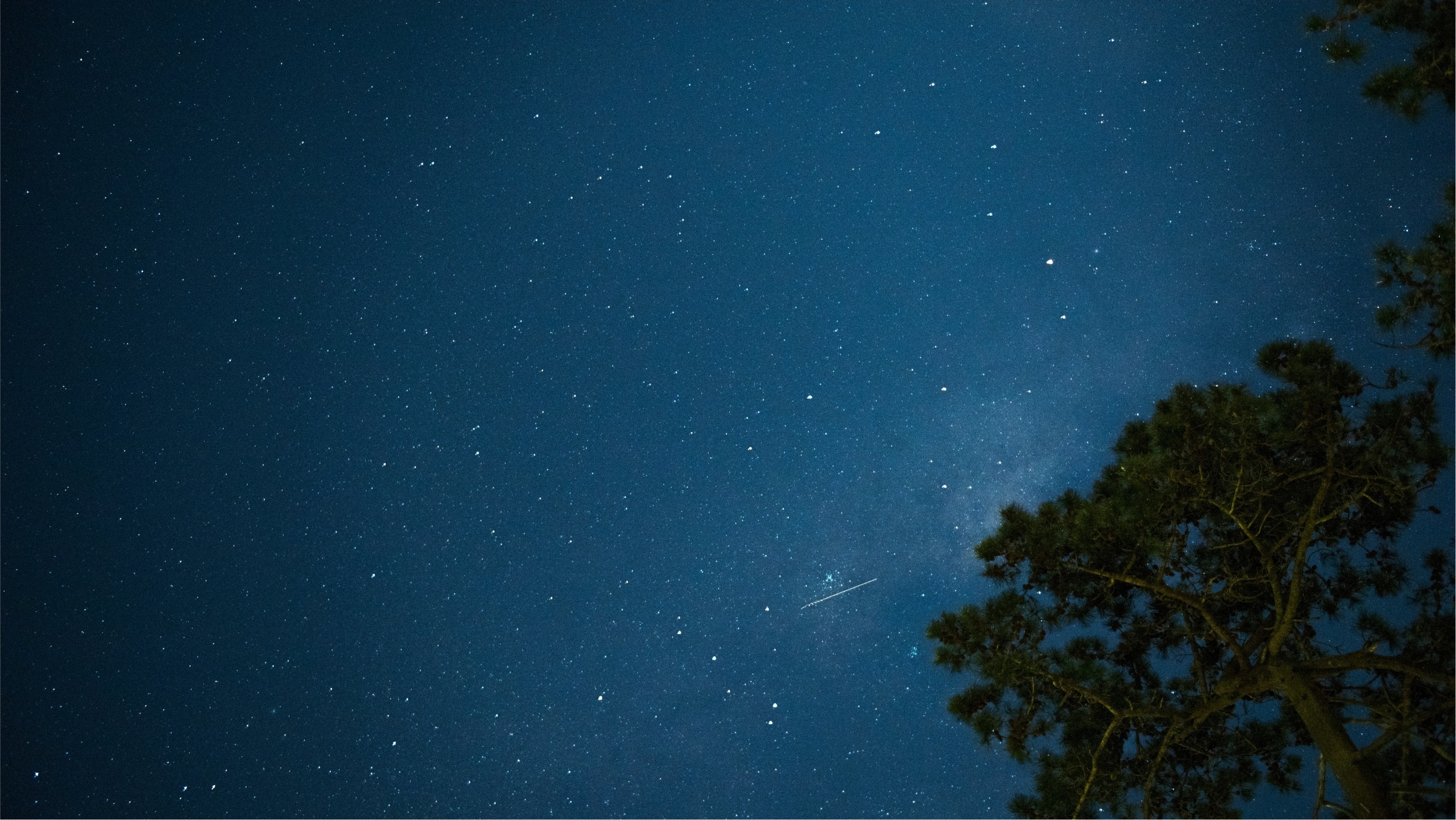 Cielos Nocturnos
